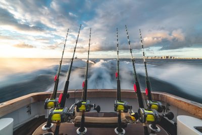 The future of bearings for sea fishing gear The future of bearings for sea fishing gear