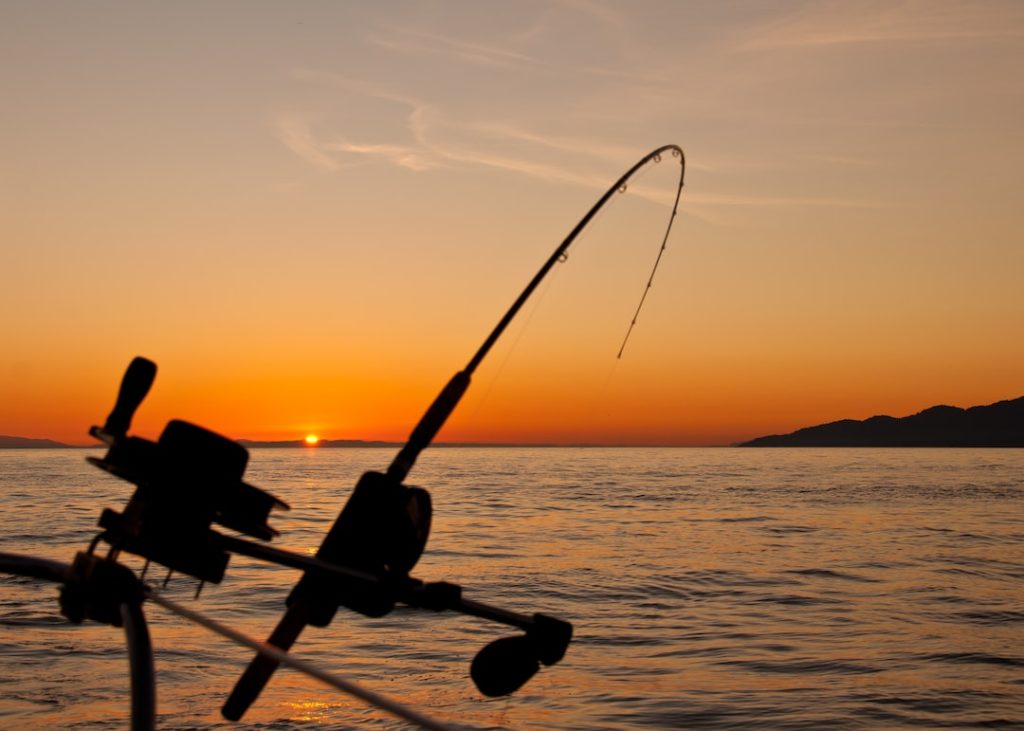 The Development of Bearings for Sea Fishing Gear