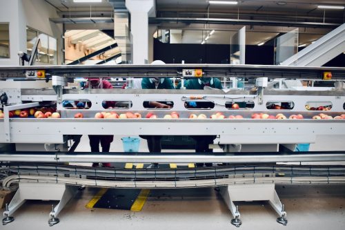 conveyor belt